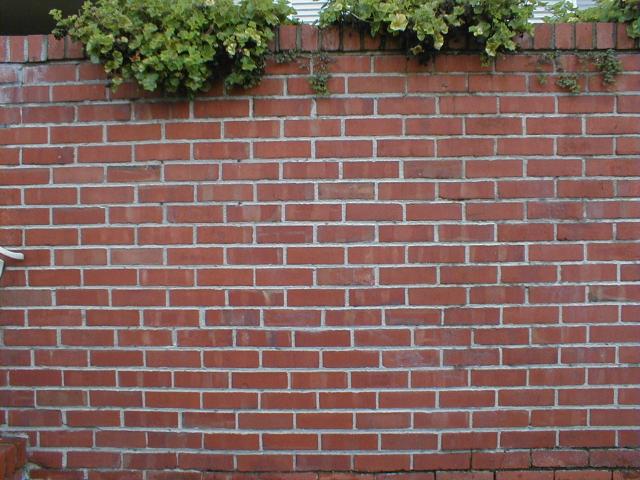 brickwall.jpg (640×480)